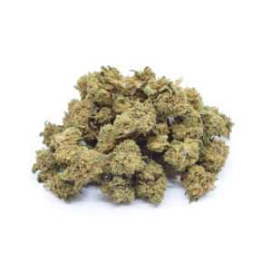 Biscotti Popcorn Greenhouse 0.5