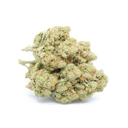 Amnesia Indoor 0.2