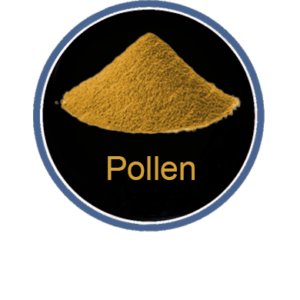 Pollen