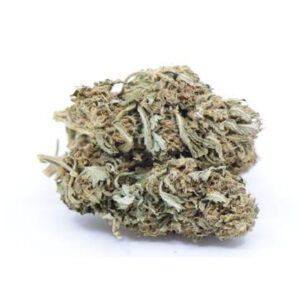 Mango Glasshouse < 0.2%
