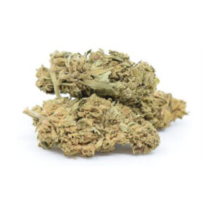 Padrino Glasshouse < 0.2%